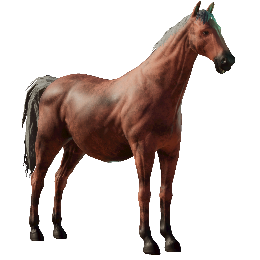 charlotte-s-web-horse-details-photo-finish-live