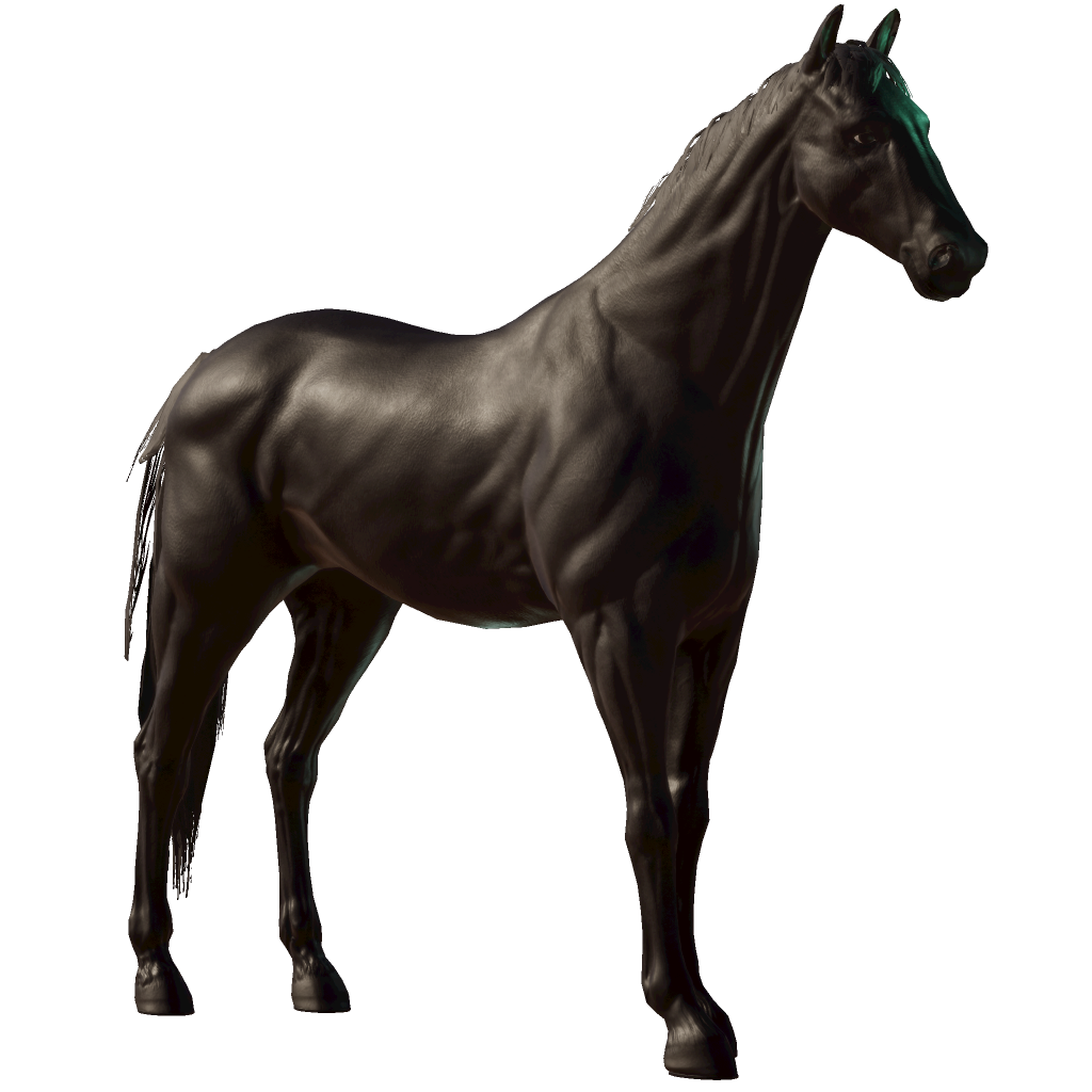 Jupiter Horse Details Photo Finish™ LIVE