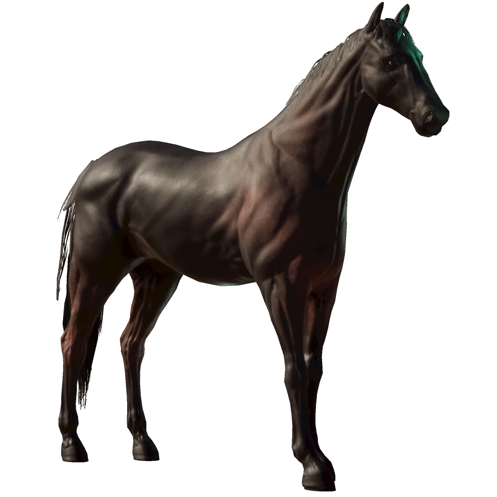 aquaeggclipse-horse-details-photo-finish-live
