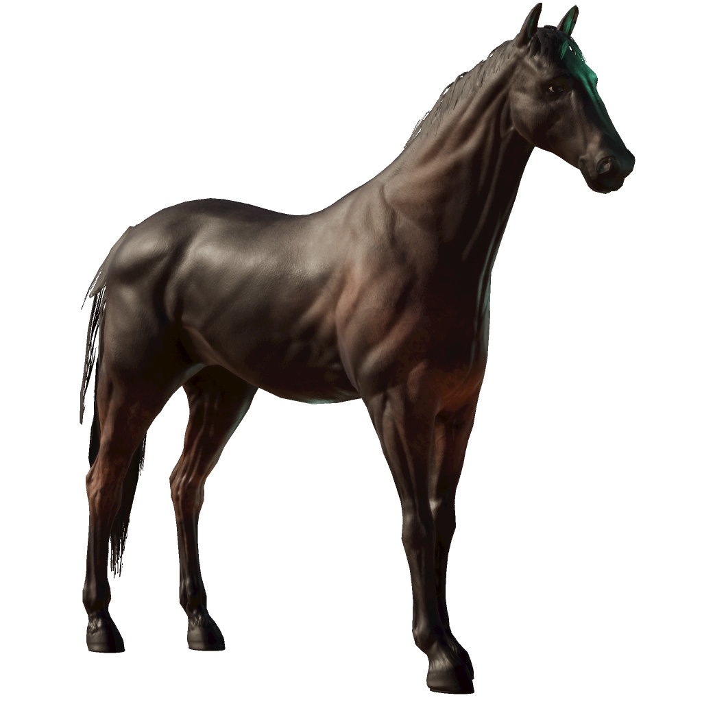 kornukopia-horse-details-photo-finish-live
