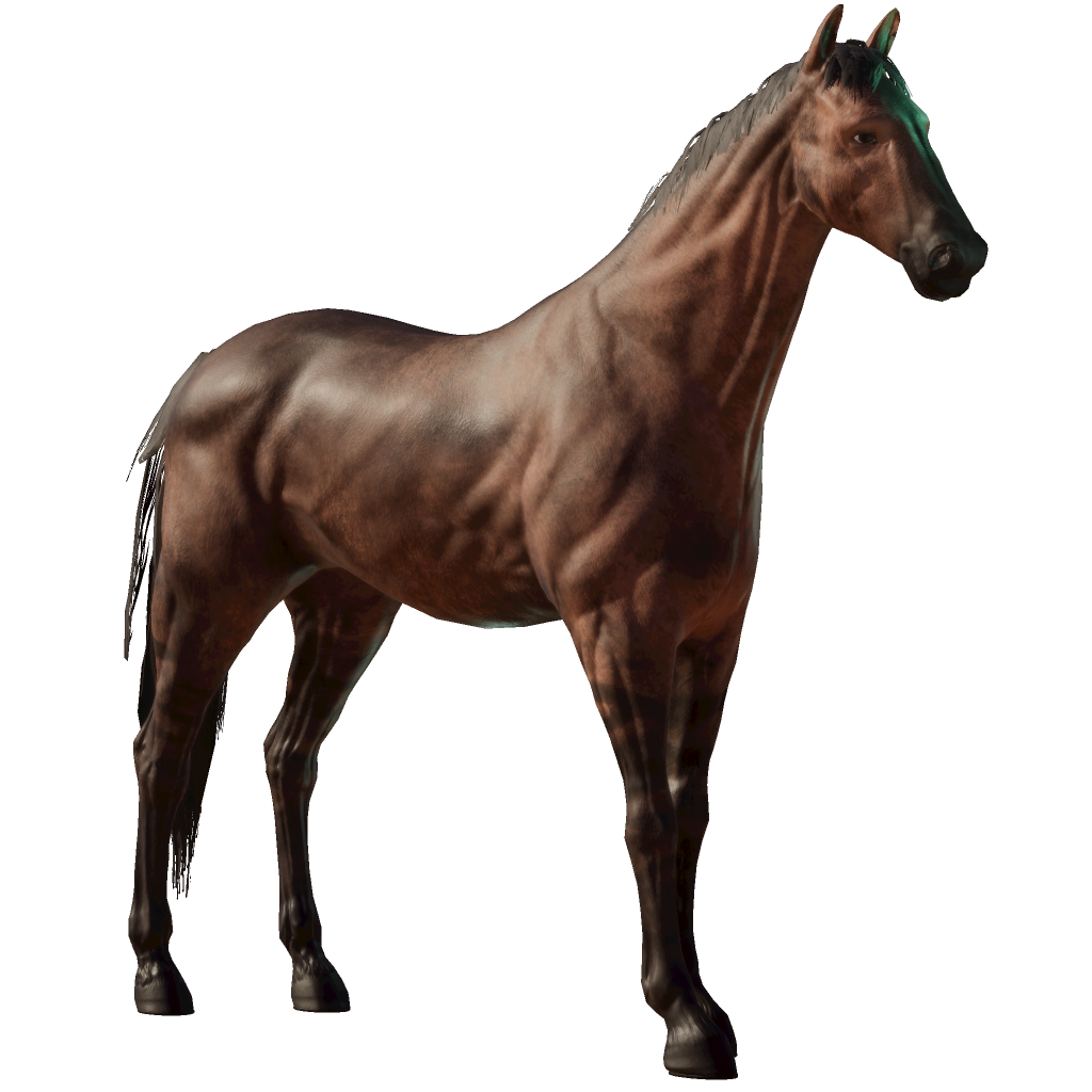 marv-horse-details-photo-finish-live