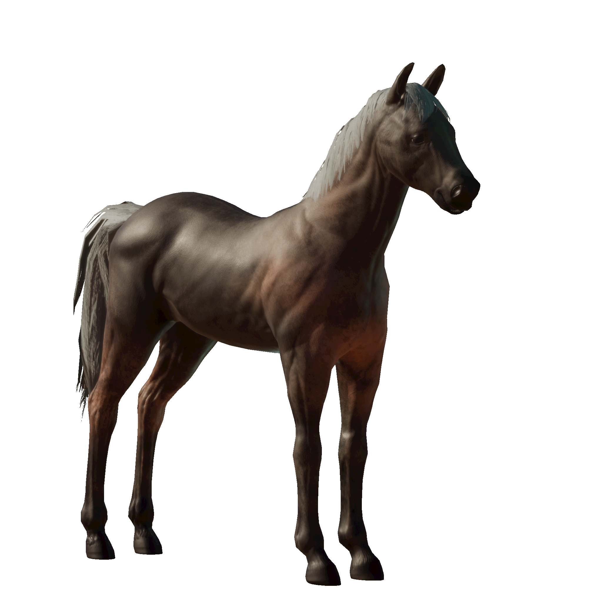 Hoof Hearted's Foal Horse Details Photo Finish™ LIVE