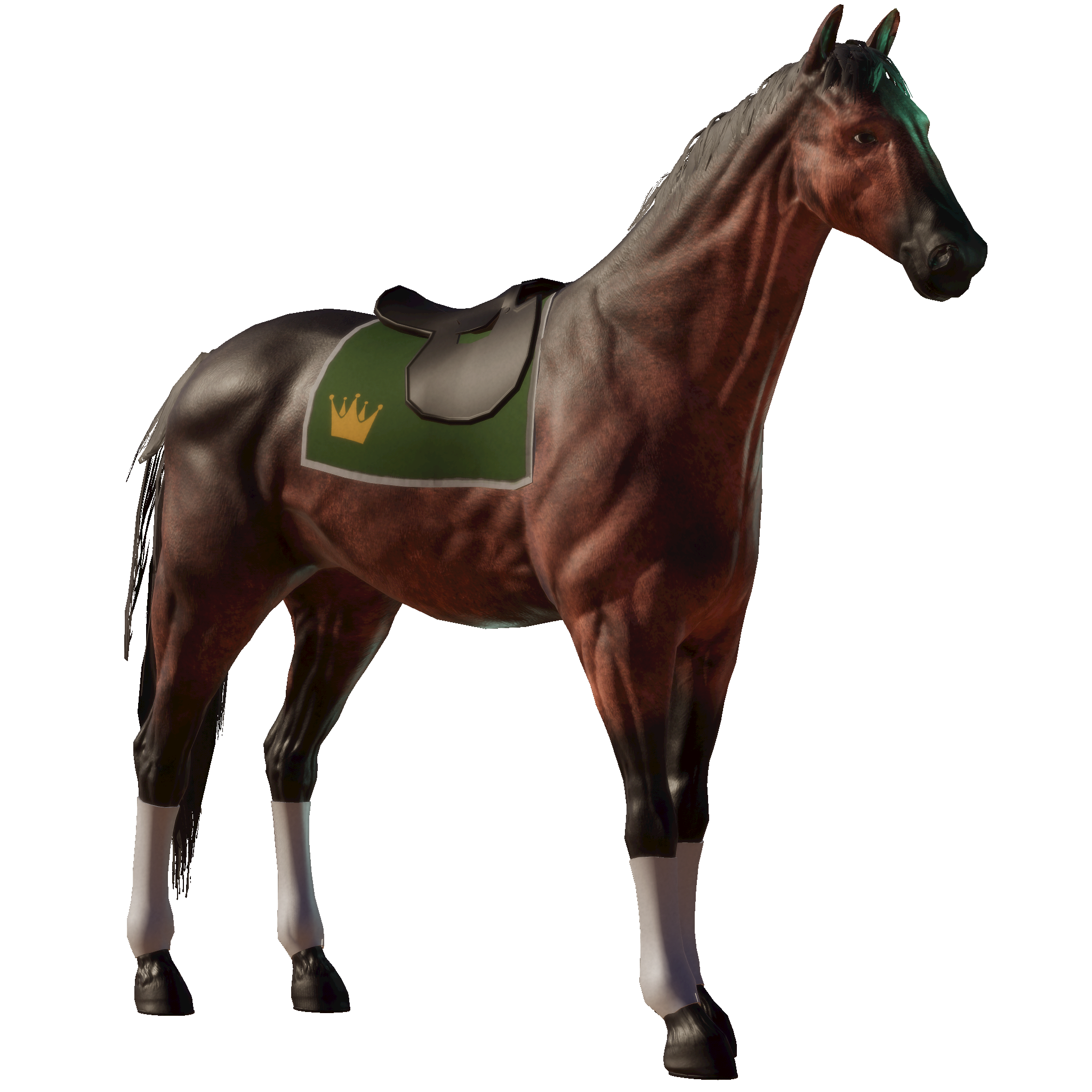 A Karl Horse Details Photo Finish LIVE a-karl-horse-details-photo-finish-live
