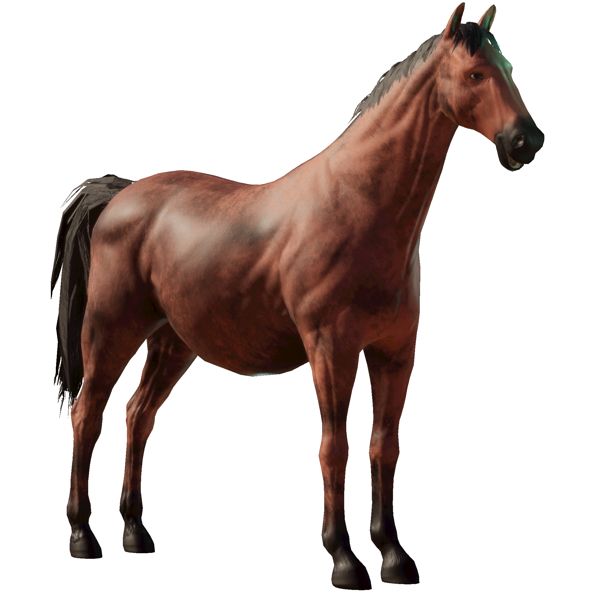 Louisa Earp Horse Details Photo Finish LIVE louisa-earp-horse-details-photo-finish-live